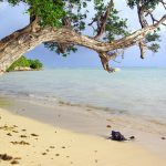 Quel est le plus bel endroit de la Guadeloupe ?